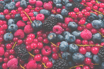 Blackberry, raspberry, blueberry,  red currant and mint background.