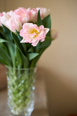 Pink tulips in vase standing in table. Copy space. Greeting card. Valentines day