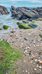 rocks and shells on the beach