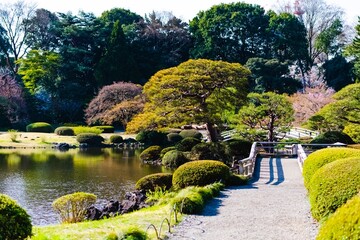Obraz premium garden in spring