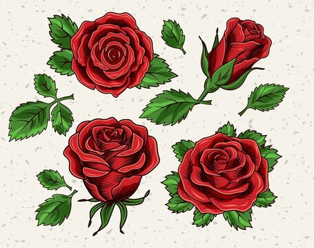 Clip art with lush blooming red roses and leaves. Single flowers and half-blown bud. Engraving vintage style. Isolated vector illustration