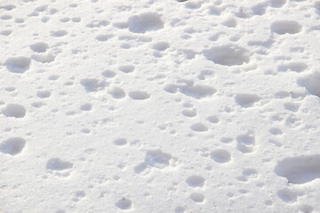 White textured background of snow