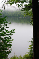 summer lake framed with green trees with copy space