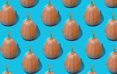 Pattern of pumpkins on a blue background. Autumn harvest. Pumpkin. Thanksgiving Day. Food for Halloween.