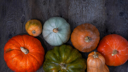 Set of different pumpkins on old wooden background. Different varieties. Orange, green and gray pumpkin. Autumn harvest. Halloween and Thanksgiving food.