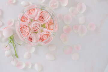 ガラスの器に入ったピンク色のバラの花