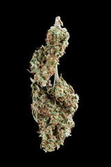 C4 Hemp cannabis strain on black background