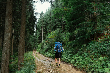 Male hiker with a backpack walks on a forest path in the mountains, rear view.