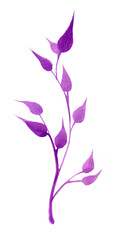 Fototapeta na wymiar Handmade watercolor illustration of violet color branch with leaves on the white background. Colorful background for fabric, wallpapers, gift wrapping paper, scrapbooking. Design for kids.