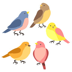 Set of stylized birds. Image of wild birdie in simple style.