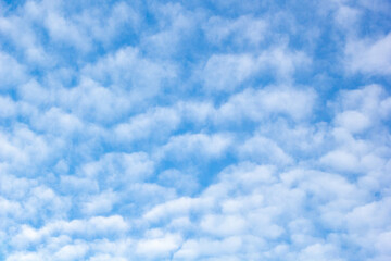 Fototapeta premium Blue sky with white cumulus clouds in sunny day. Beautiful background