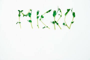  Microgreen isolated on a white background.