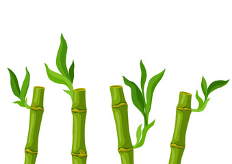 Illustration of green bamboo stems and leaves. Decorative exotic plants of tropic jungle.
