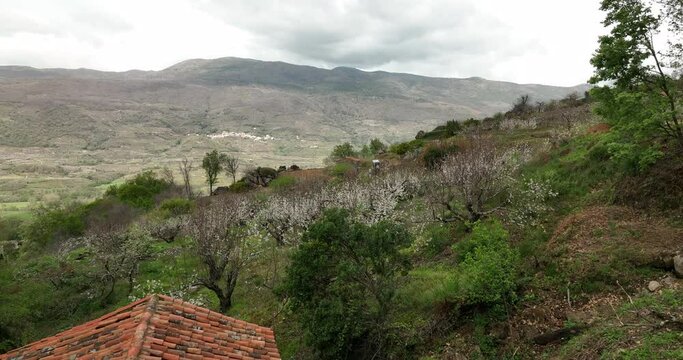 Beautiful view of cherry blossom in Valle del Jerte, Spain