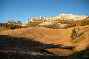 Magical forests in Northern Spain.
