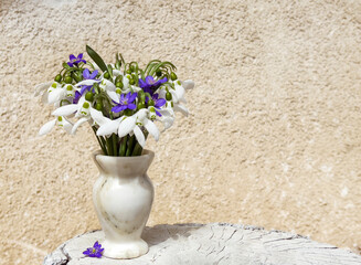 Spring bouquet of snowdrops and hepatica flowers in a small decorative vase. Spring background
