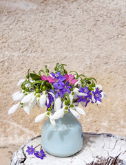 Spring bouquet of snowdrops and hepatica flowers in a small decorative vase. Spring background