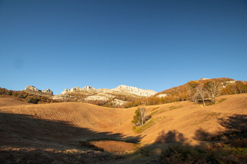 Magical forests in Northern Spain.
