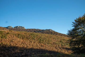Magical forests in Northern Spain.