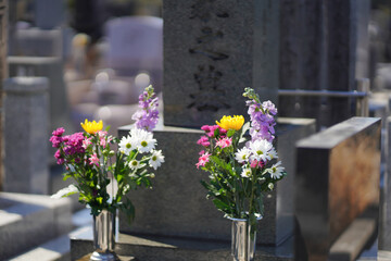 Fototapeta na wymiar 日本のお墓
