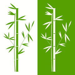 An illustration of mirrored bamboo. Vector