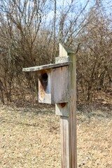 A close side view of the wood birdhouse in the field.