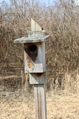 A close front view of the wood birdhouse in the field.