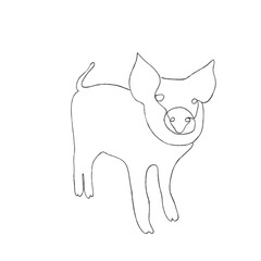 cat and dog