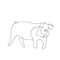illustration of an elephant