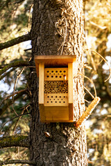 insect hotel in a tree in an urban forest. 
insect hotels are an eco-friendly way to avoid harmful insect infestations with beneficial insects