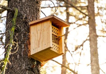 insect hotel in a tree in an urban forest. 
insect hotels are an eco-friendly way to avoid harmful...
