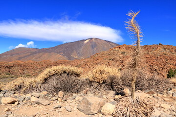Fototapeta na wymiar Panorama view on island of Tenerife to the volcano Pico del Teide