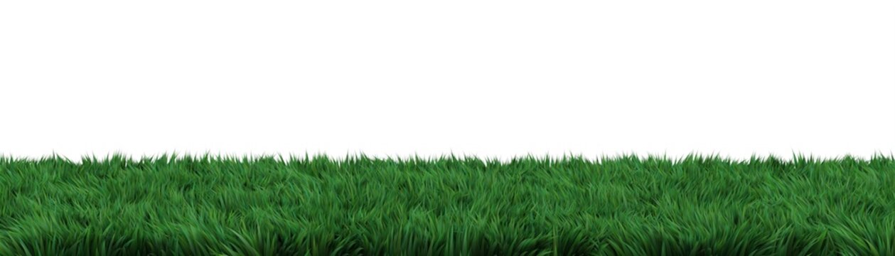 panoramic banner with grass on white background