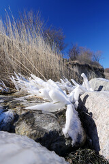 Snow covered grass on a beach