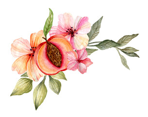 Watercolor illustration. Hand drawn peach and peach flowers arranged in a composition. Design for cards, gifts, printing and more