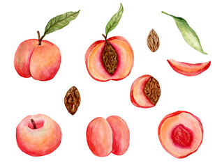 Watercolor set of hand drawn peaches, peach halves, pits and leaves isolated on white background