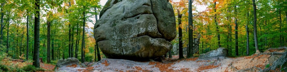 Autumn panorama in the rocky mountains. Trees in a color palette.