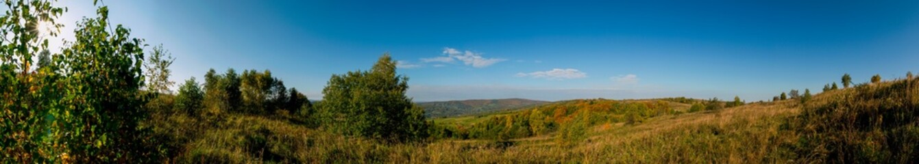 Obraz premium Panorama of autumn tree on a large lawn.