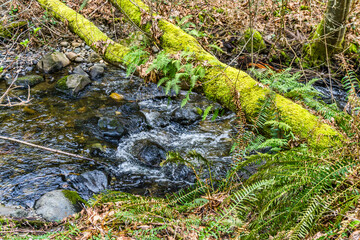 Upper Des Moines Creek Detail 5