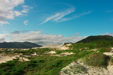 landscape with blue sky Florida brasil