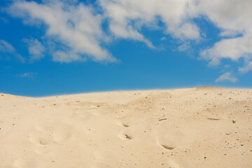 Fototapeta na wymiar sand dunes in the desert Florianopolis brasil