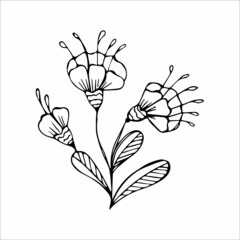 Hand drawn flower single doodle element for coloring, black and white vector image
