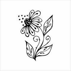 Hand drawn flower single doodle element for coloring, black and white vector image