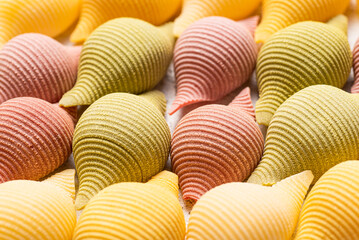 Close up view of colorful shell pasta. Organic, hand made pasta shell. 