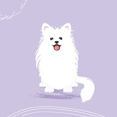 Samoyed dog face portrait cartoon illustration. Cute friendly blue merle tricolor herding dog smiling with tongue out