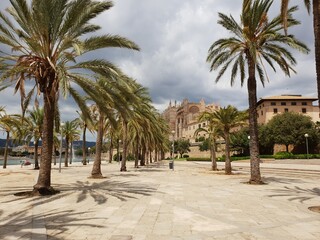 Parc de la mar (Sea park) in front of La Seu Cathedral in Palma, Mallorca, Balearic Islands, Spain © Guenter