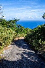 Fototapeta na wymiar View from the Le Chameau hiking trail. Terre-de-Haut, Iles des Saintes, Les Saintes, Guadeloupe, Lesser Antilles, Caribbean.