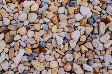 Sea colored pebbles under water. Photo of Ardriatic Sea