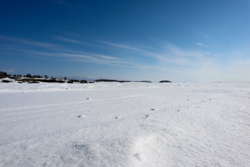 Fototapeta na wymiar landscape with snow covered lake Ladoga under clear blue sky