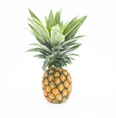 Fototapeta premium single whole pineapple isolated on white background